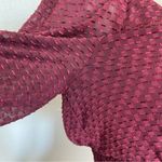 DR2 Brand Maroon Textured Smocked Long Sleeve V-Neck Blouse Photo 3