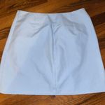 ZARA Mini Skirt Photo 1