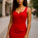 The Limited Elegant Red Sleeveless Dress NWT  Size 12 Photo 0