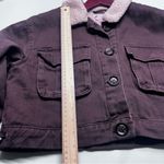 Stoosh  Chocolate Teddy Jacket with Ivory Collar Photo 2