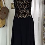 Tadashi Shoji TADASHI collection lace detail midi dress semi formal Photo 13