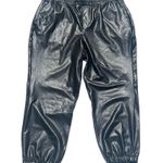 Sanctuary Sancturary/Revolve Neo Faux Black Leather Pull On Jogger Size 1X New with tags Photo 2