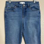 1822 Denim  High-Rise Demi Bootcut Raw Hem Jeans, Size 8 Photo 1