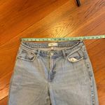 Abercrombie & Fitch  Curve Love low rise baggy Jeans size 29 Photo 6
