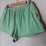 Lisa Says Gah  XL Green Striped Shorts Photo 2