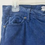 Free People  Cotton Royal Blue Ribbed Corduroy Ankle-Length Everyday Pants 26 Photo 2