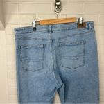 American Eagle  Strigid Mom Jean Size 18 Regular Photo 7