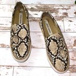 Steve Madden  | Shoes Photo 0