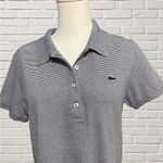 Lacoste  Slim Fit Polo Dress Navy White Stripe Tennis Preppy Size 40 US M Photo 1