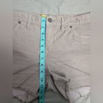 Carve Designs  Oahu Corduroy Short 4" W8 Khaki Photo 6