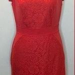 Adrianna Papell - Floral Lace Inset Orangered Dress Cocktail Party Size 6 Photo 0