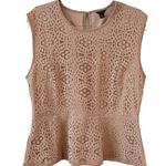 Ann Taylor  Lace Sleeveless Top in Beige Photo 0