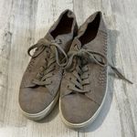 Toms Tom Lenox Sneakers Size 7 Photo 2