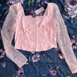 Wild Fable  Top Photo 0