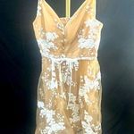 Calvin Klein New CK party Dress Nude White Lace Sequins size 6 Photo 0