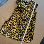 Adam Lippes  animal print asymmetric satin top, sleeveless, size 2 Photo 11