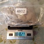 Rails  Kigston Womens Jogger Heather Brown Embroidered Stars Size Small Photo 12