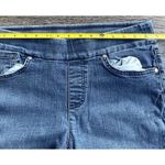 Gloria Vanderbilt Vintage Amanda Jeans Women's Size 12 Western Summer Travel Photo 3