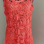 Blu Pepper Lace Overlay Dress Photo 0
