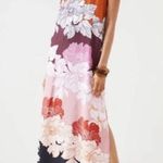 Anthropologie  Maeve Floral Maxi Dress Photo 0