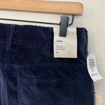 Babaton NWT - Aritzia Joey Corduroy Pants Navy High Rise Flare Photo 6