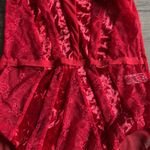 Leg Avenue  lace and velvet bodysuit Photo 2