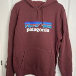 Patagonia Hoodie Sweatshirt Photo 0