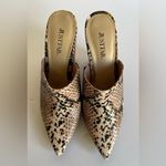 JustFab NEW JUST FAB Blush Snake Mule. Photo 1