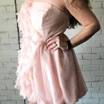 Vera Wang White by Tulle Puff Pink Dress Size 0 Photo 2