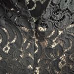 Loft Ann Taylor  Petite Black Lace Shift Dress Photo 4