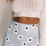 Princess Polly Skirt Photo 0