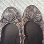 Loft  Snakeskin Patterned Flynn ballet flats size 8.5 Photo 2