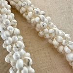 Hawaiian Mongo Shell Lei Necklace Photo 5