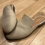 indigo. Rd Shoes Photo 0