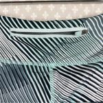 Smartwool Blue Striped Merino Sport Lined Shorts Photo 4