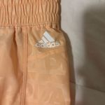 Adidas  Shorts  Photo 1
