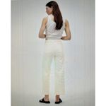 Madewell  The Emmett Wide-Leg Crop Jean: Welt Pocket Vintage Canvas Size 29T Photo 3