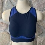 Crane Two Tone Blue Full Coverage Sports Bra With Adjustable Back Photo 0