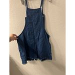 Aerie  Women's Baggy Fit Overalls Size M Photo 1