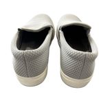 Steve Madden Coulter-M Knit Mesh Slip on Sneaker Size Women’s 9 Photo 4