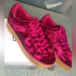 Cape Robbin  velvet creepers sneaker goth classic spring maroon boho classic shoe Photo 0