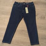 Laurie felt metallic pinstripe ankle skinny jeans size 12P Blue Photo 1