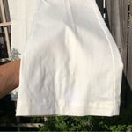 Sigrid Olsen NEW  Collection Modernist white jeans/pants 14 Photo 3