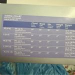 California Costumes Light Blue Fairy Tale Maxi Dress Size XL Photo 3