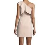 Elizabeth and James Dress One Shoulder Ruffle Sleeveless Mini Party Photo 1