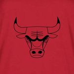 Nba  Chicago Bulls Women's Short Sleeve Crew Neck T-Shirt Red XL Photo 4