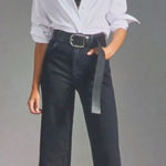 Pilcro Anthropologie Skipper Wide Leg EUC $148 Size 30 J1545 Photo 0