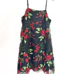 Show Me Your Mumu NWT lace slip dress risque rose Photo 3