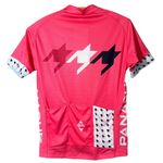 Panache Women’s Bullet SS Cycling Jersey Fitted with Full Zip Pink Size Medium Photo 1