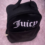 Juicy Couture  Backpack Photo 0